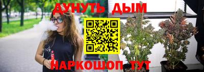 прущие крисы Кандалакша