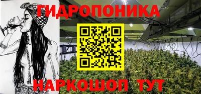 прущие крисы Кандалакша