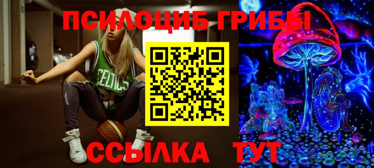 Галлюциногенные грибы мухоморы Ленинск-Кузнецкий